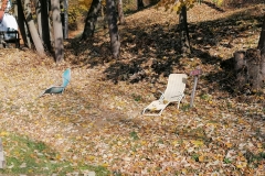 IMG_20211101_101115