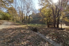IMG_20211101_102336_1